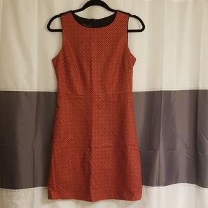 Metaphor Orange & Black Dress NWT